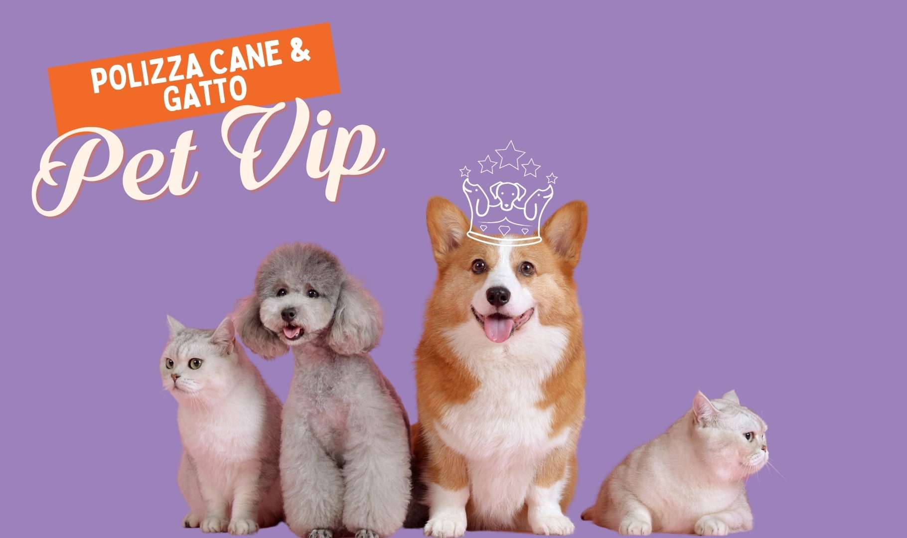 assicurazione per cani