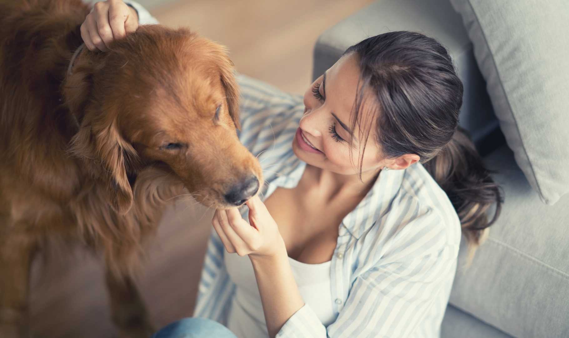 assicurazione per cani